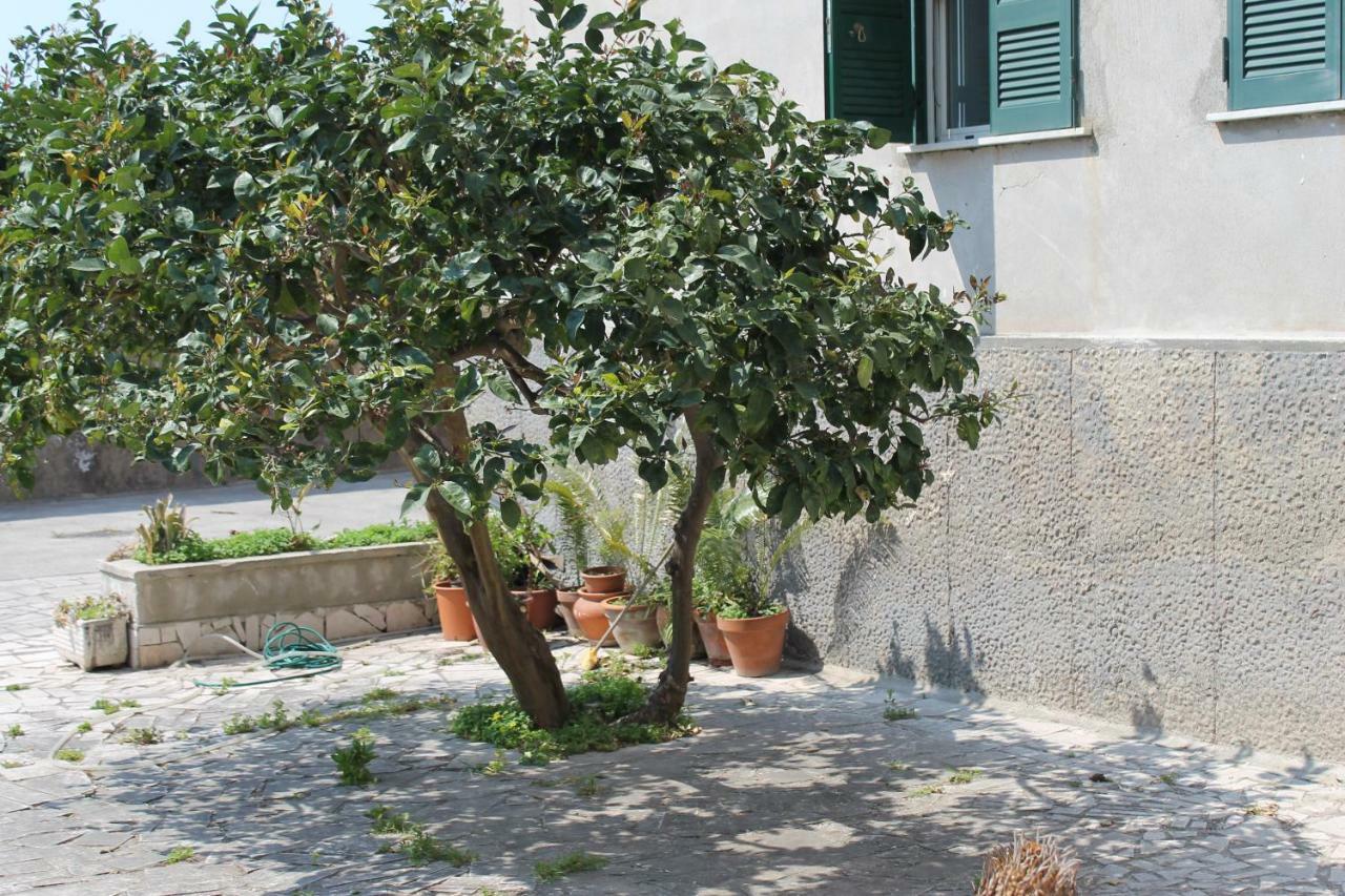 B&B Paura Naples Exterior photo